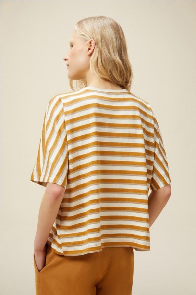 CAMISETA POMANDERE D188 61137 2