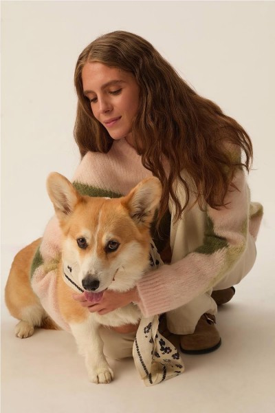 JERSEY DES PETITS HAUTS... 2