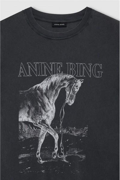 CAMISETA ANINE BING LILI...