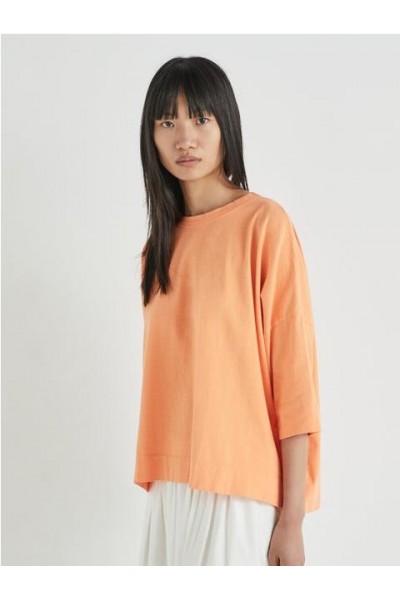 CAMISETA MASSCOB MELROSE 2