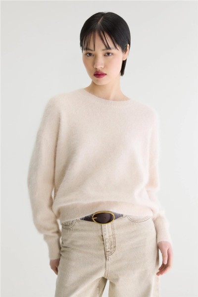JERSEY BELLEROSE DATUS...