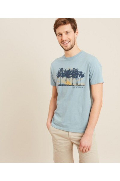 CAMISETA HARTFORD PALM TREES